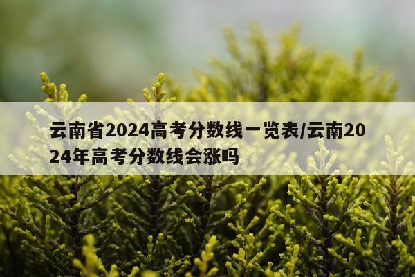 云南省2024高考分数线一览表/云南2024年高考分数线会涨吗