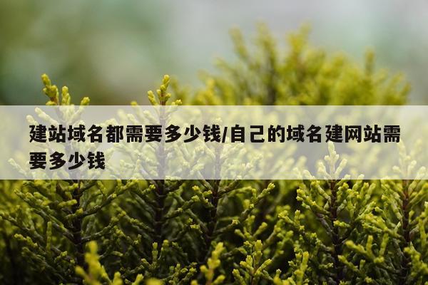建站域名都需要多少钱/自己的域名建网站需要多少钱