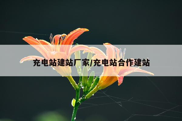 充电站建站厂家/充电站合作建站