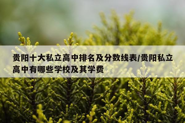贵阳十大私立高中排名及分数线表/贵阳私立高中有哪些学校及其学费