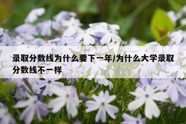 录取分数线为什么要下一年/为什么大学录取分数线不一样