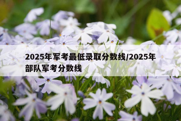 2025年军考最低录取分数线/2025年部队军考分数线