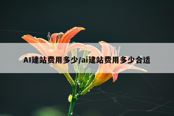 AI建站费用多少/ai建站费用多少合适