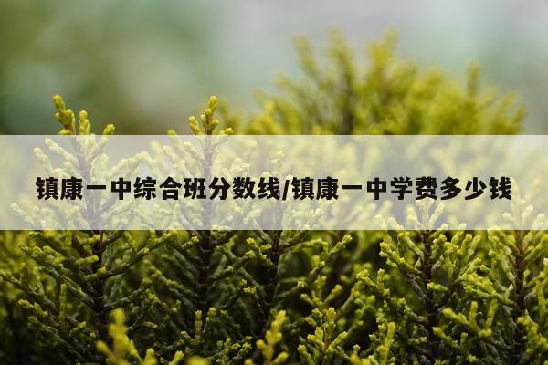 镇康一中综合班分数线/镇康一中学费多少钱