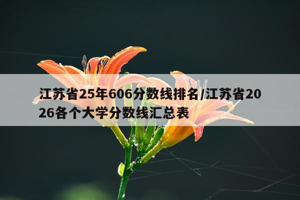 江苏省25年606分数线排名/江苏省2026各个大学分数线汇总表