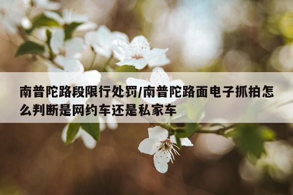 南普陀路段限行处罚/南普陀路面电子抓拍怎么判断是网约车还是私家车