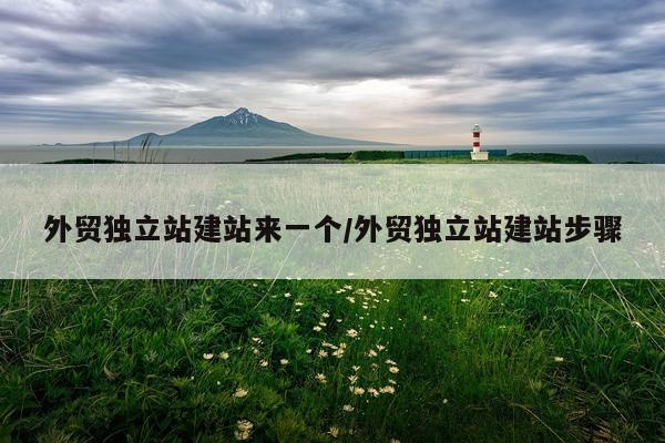 外贸独立站建站来一个/外贸独立站建站步骤
