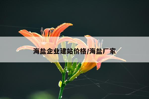 海盐企业建站价格/海盐厂家