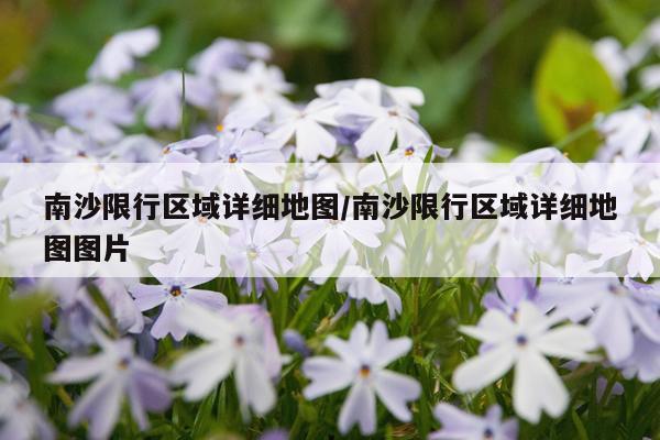 南沙限行区域详细地图/南沙限行区域详细地图图片