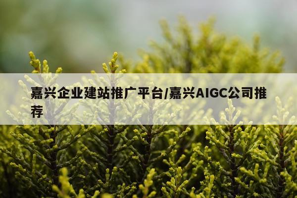 嘉兴企业建站推广平台/嘉兴AIGC公司推荐