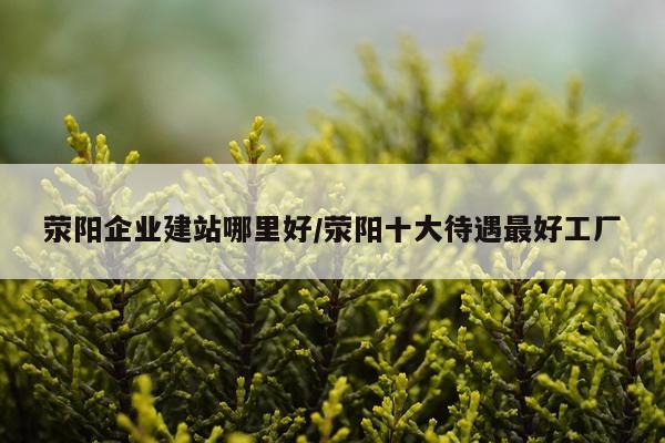 荥阳企业建站哪里好/荥阳十大待遇最好工厂