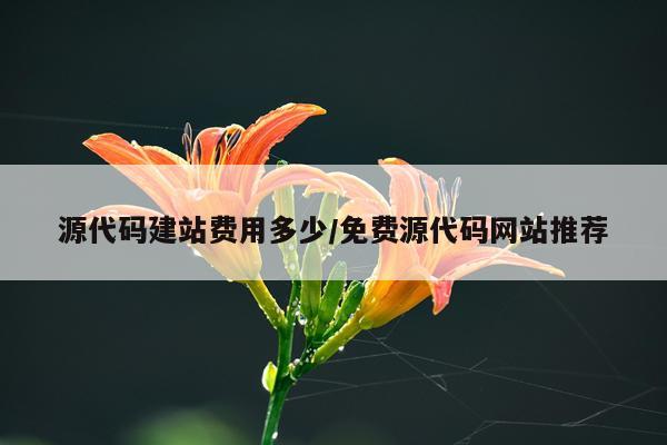 源代码建站费用多少/免费源代码网站推荐
