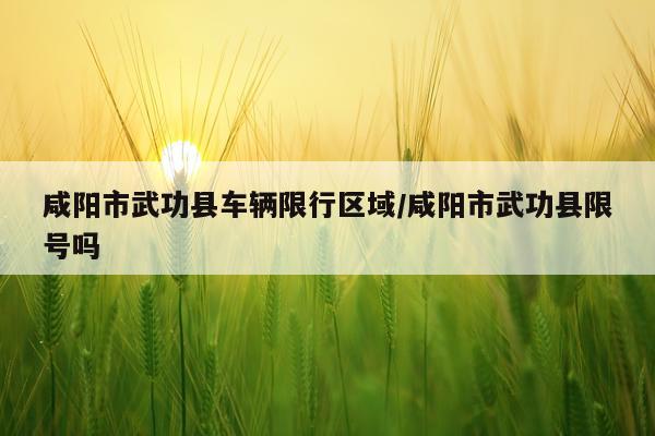 咸阳市武功县车辆限行区域/咸阳市武功县限号吗