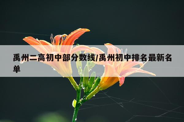 禹州二高初中部分数线/禹州初中排名最新名单