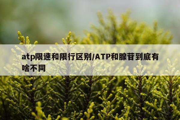 atp限速和限行区别/ATP和腺苷到底有啥不同