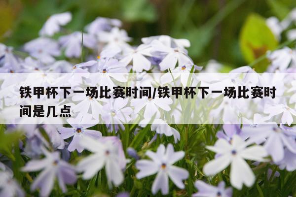 铁甲杯下一场比赛时间/铁甲杯下一场比赛时间是几点