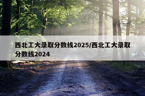 西北工大录取分数线2025/西北工大录取分数线2024