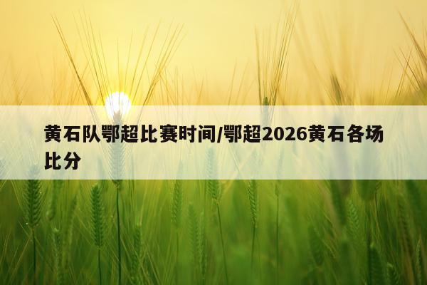 黄石队鄂超比赛时间/鄂超2026黄石各场比分