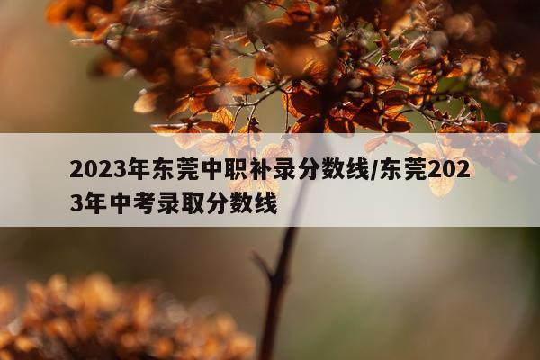 2023年东莞中职补录分数线/东莞2023年中考录取分数线