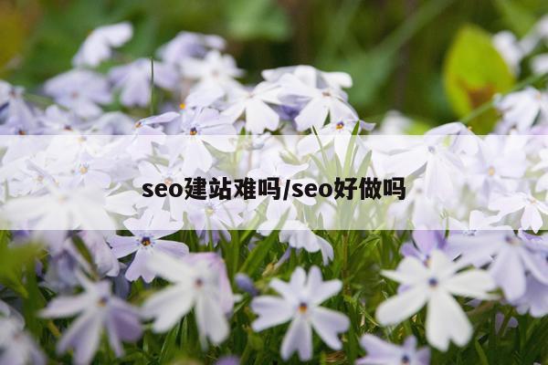 seo建站难吗/seo好做吗