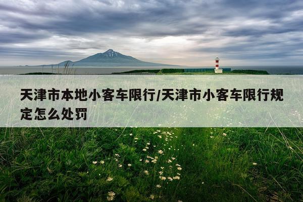 天津市本地小客车限行/天津市小客车限行规定怎么处罚