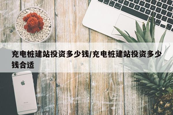 充电桩建站投资多少钱/充电桩建站投资多少钱合适