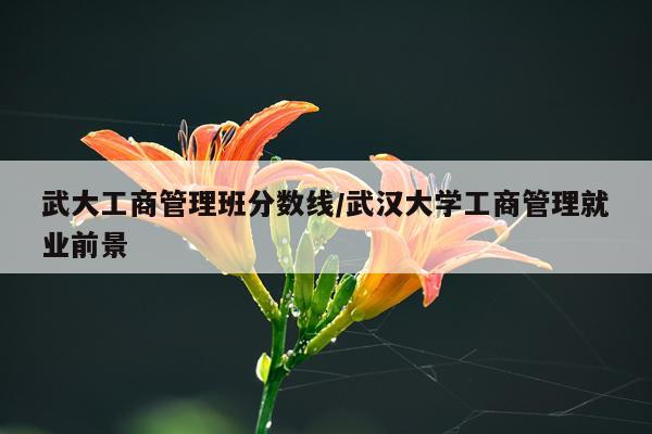 武大工商管理班分数线/武汉大学工商管理就业前景