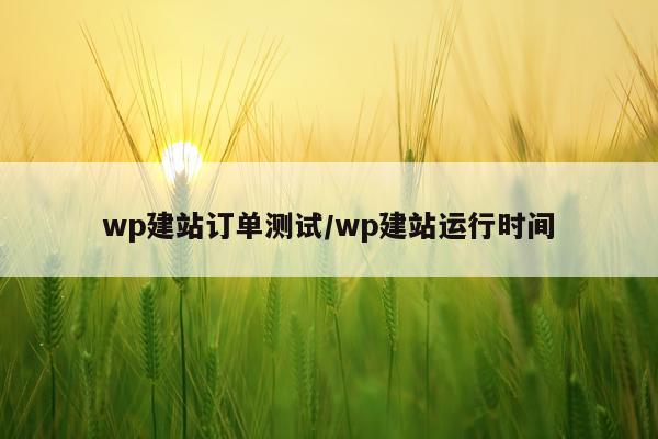 wp建站订单测试/wp建站运行时间