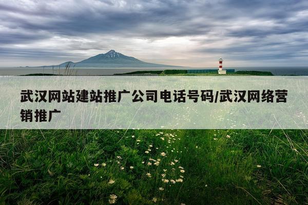 武汉网站建站推广公司电话号码/武汉网络营销推广
