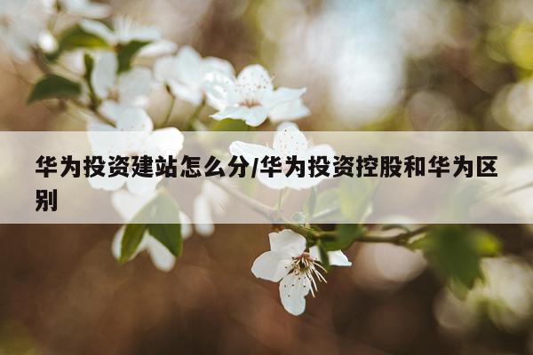 华为投资建站怎么分/华为投资控股和华为区别