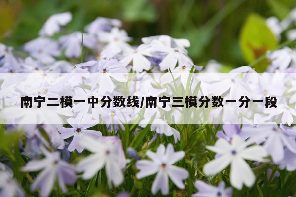 南宁二模一中分数线/南宁三模分数一分一段