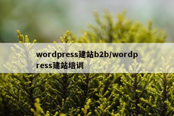 wordpress建站b2b/wordpress建站培训