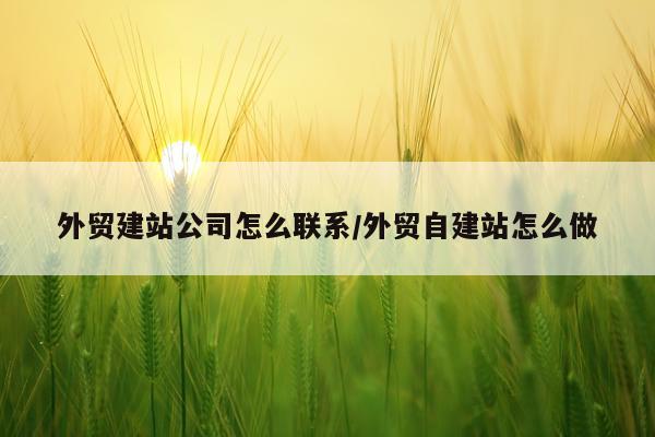 外贸建站公司怎么联系/外贸自建站怎么做