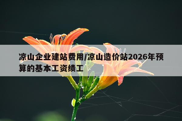 凉山企业建站费用/凉山造价站2026年预算的基本工资绩工