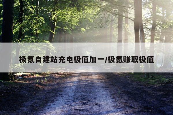 极氪自建站充电极值加一/极氪赚取极值