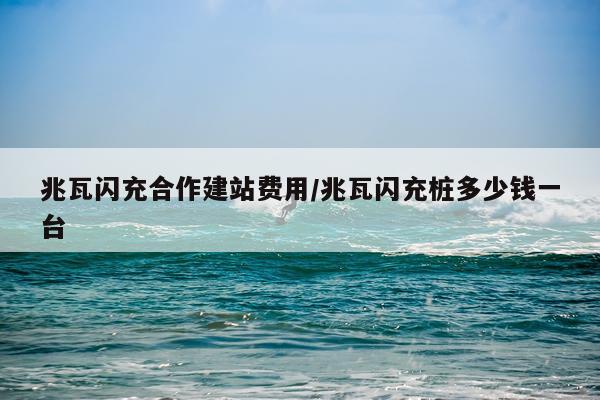兆瓦闪充合作建站费用/兆瓦闪充桩多少钱一台