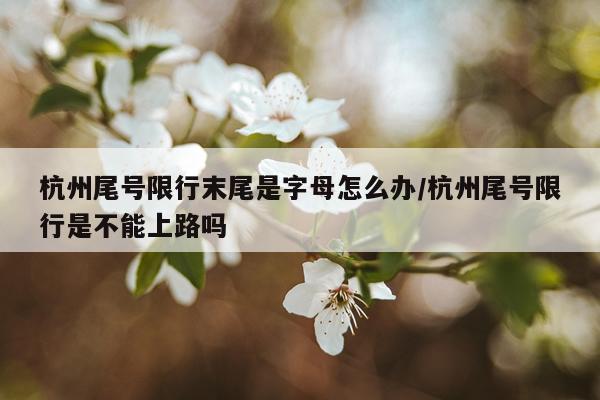 杭州尾号限行末尾是字母怎么办/杭州尾号限行是不能上路吗