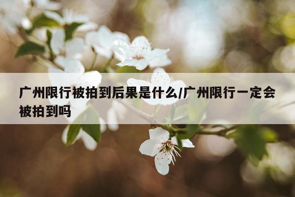 广州限行被拍到后果是什么/广州限行一定会被拍到吗