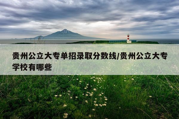 贵州公立大专单招录取分数线/贵州公立大专学校有哪些