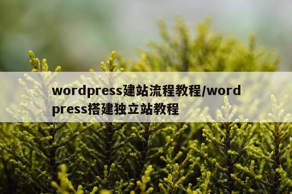 wordpress建站流程教程/wordpress搭建独立站教程