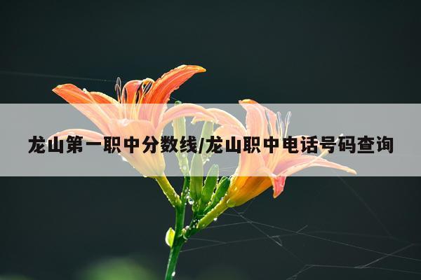 龙山第一职中分数线/龙山职中电话号码查询