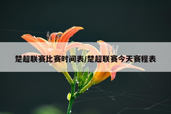 楚超联赛比赛时间表/楚超联赛今天赛程表