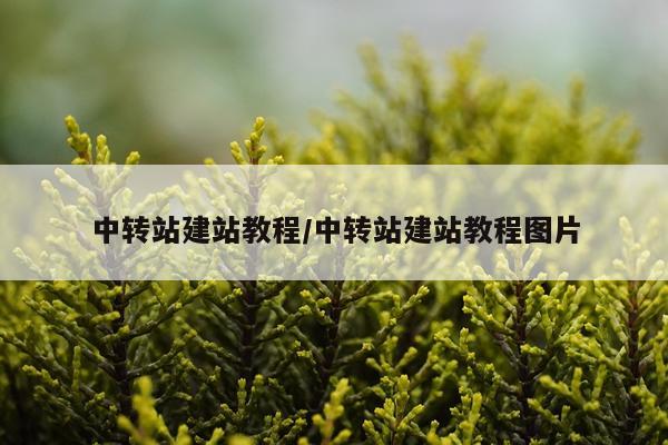 中转站建站教程/中转站建站教程图片