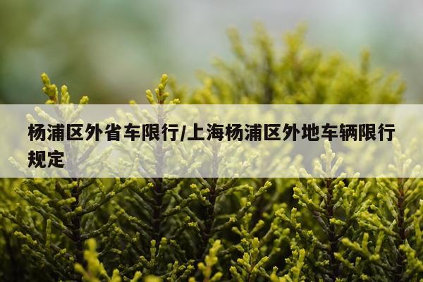 杨浦区外省车限行/上海杨浦区外地车辆限行规定