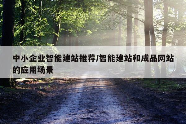 中小企业智能建站推荐/智能建站和成品网站的应用场景