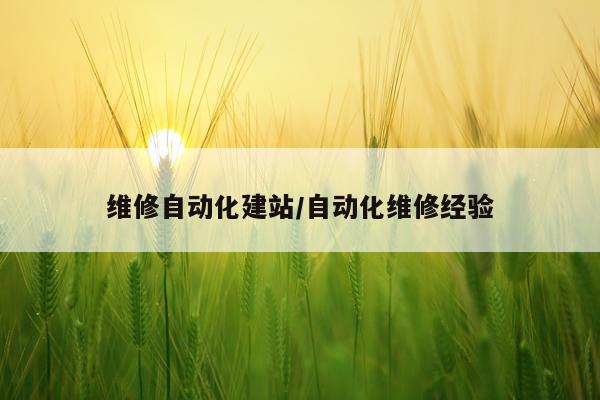 维修自动化建站/自动化维修经验