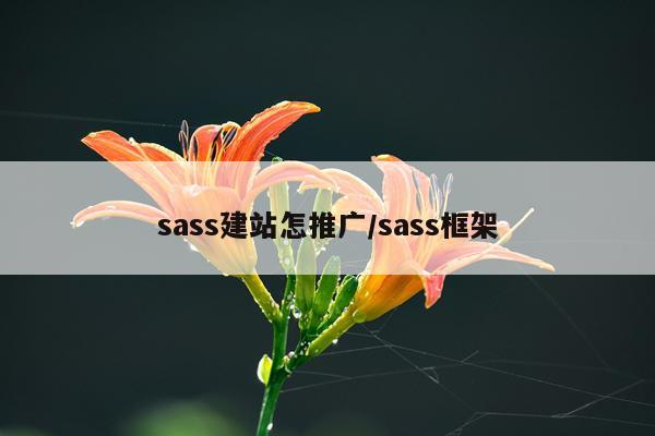 sass建站怎推广/sass框架