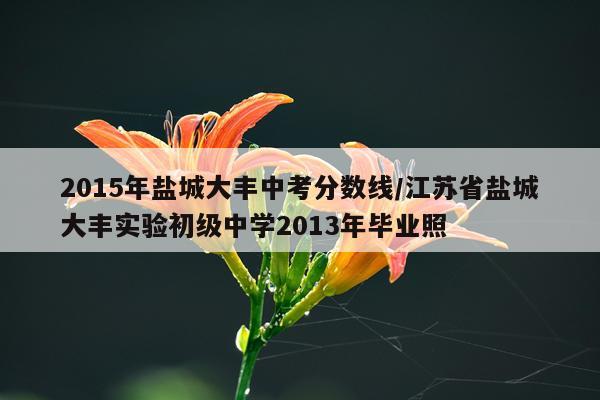 2015年盐城大丰中考分数线/江苏省盐城大丰实验初级中学2013年毕业照