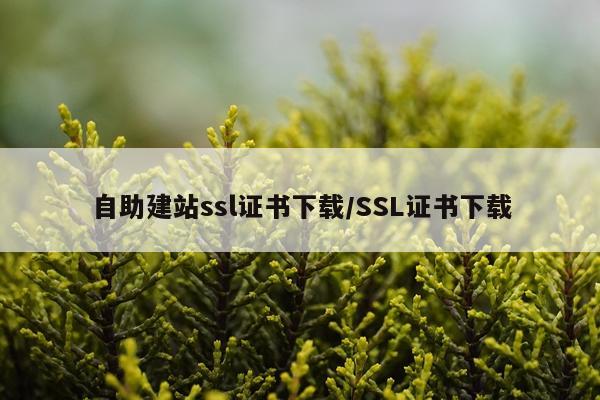 自助建站ssl证书下载/SSL证书下载