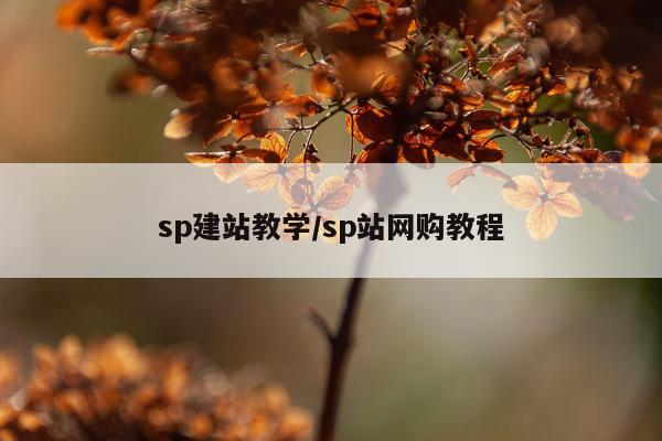 sp建站教学/sp站网购教程